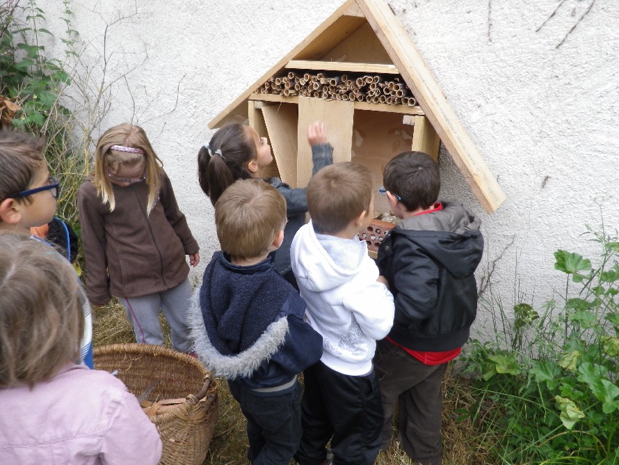 On organise les logements de la cabane à insectes